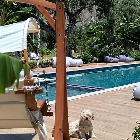 דירה Polyxeni & *